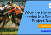 Roles in a scrum project team