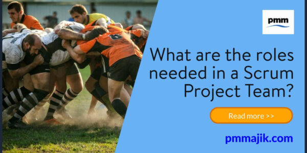 Roles in a scrum project team