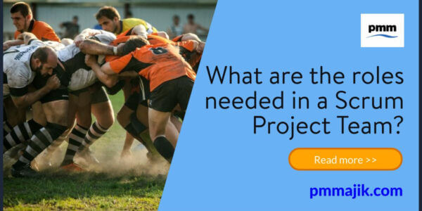 What are the roles needed in a Scrum Project Team?