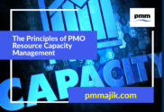 Principles PMO Capacity Management