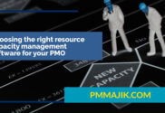 PMO's reviewing capacity flow chart