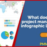 What does a good project management infographic look like?