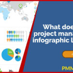 Project infographic example