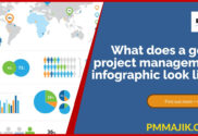 Project infographic example