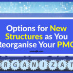 Options for when restructuring your PMO