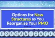 Options for when restructuring your PMO