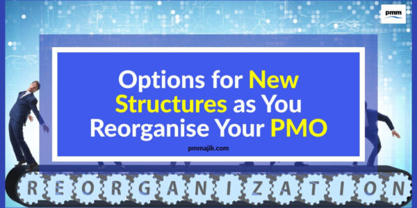 Options for New Structures as You Reorganise Your PMO