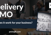 Delivery Project Management Office