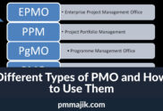 PMO types