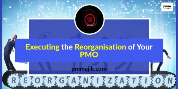 Executing the Reorganisation of Your PMO