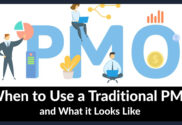 Traditional PMO
