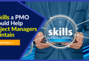 Skills development project manager
