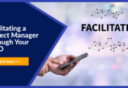Facilitating project managers