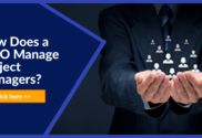 PMO managing project resources