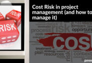 Cost risk in project management