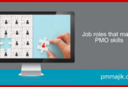 Job roles that match PMO skills