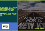 Business Analyst to PMO