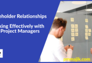 PMO working with Project Manager