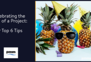 Celebrating at end of project