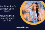 PMO suffering burn-out