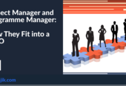 How project manager fits into PMO