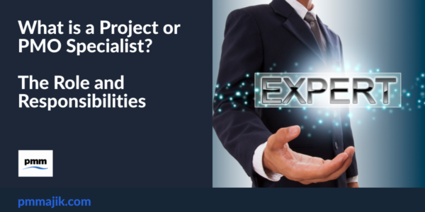 What is a Project or PMO Specialist? The Role and Responsibilities