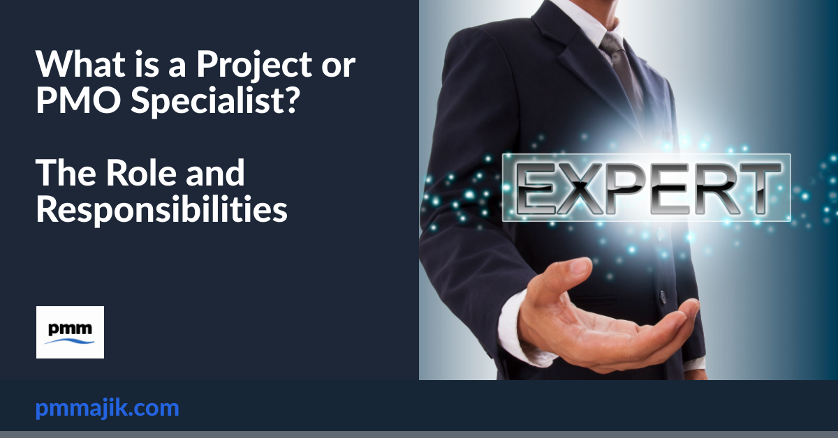 What is a Project or PMO Specialist? The Role and Responsibilities