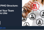 Designing PMO Structure
