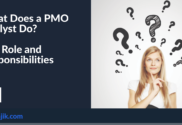 PMO Analyst Role