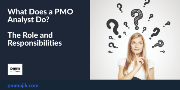 What Does a PMO Analyst Do? The Role and Responsibilities