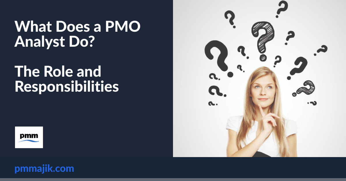 PMO Analyst Role