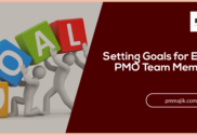 Setting PMO Team Member Goals