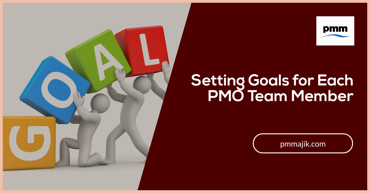 Setting PMO Team Member Goals