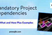 Mandatory Project Dependencies