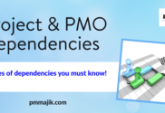 PMO Dependency Types