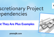 Discretionary Project Dependencies