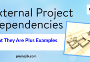 External project dependencies