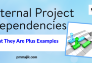Internal Project Dependencies