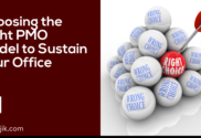 Choosing right PMO model
