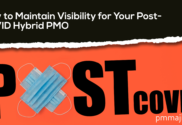 Visibility-PMO