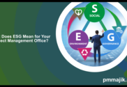 PMO ESG