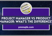 Product V Project Manager
