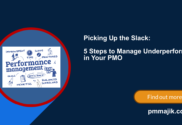 PMO Team Performance Management