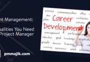 Qualities Of Project Manager