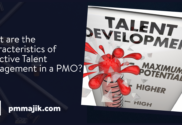 PMO-Talent-Development