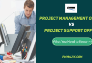 PMO vs PSO: What you need to know