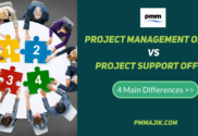 4 Differences PMO V PSO