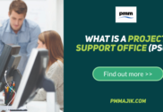 What is a Project Support Office?