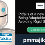 Pitfalls of a new PMO – Being Adaptable and Avoiding Rigid Structures