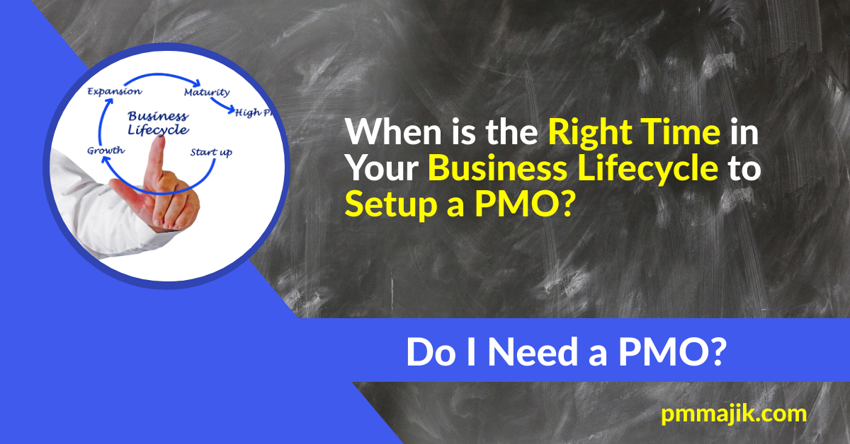 Do I Need a PMO? When is the Right Time in Your Business Lifecycle to Setup a PMO?